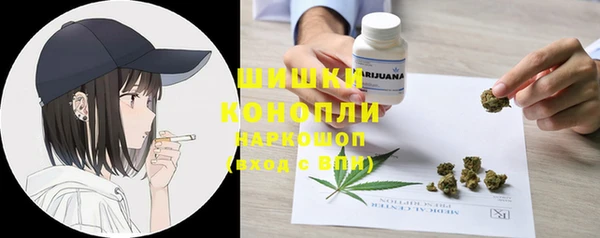крисы Аркадак