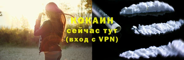 эйфоретик Арсеньев