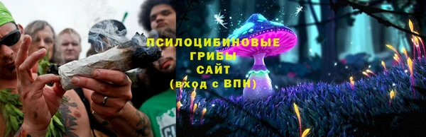 эйфоретик Арсеньев